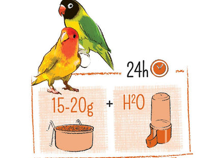 Witte Molen Puur Agaporniden - hochwertiges Vogelfutter für Agaporniden