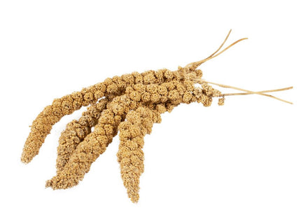 Witte Molen Kolbenhirse 150g