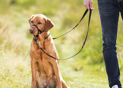 Trixie - Top Trainer-Ausbildungsgeschirr