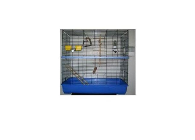 Geräumige Voliere in Blau für Grosssittiche, verzinkt