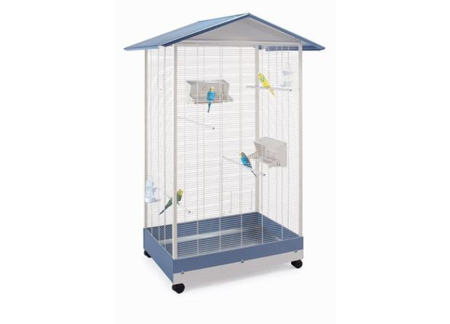 Kompakter iMac in lebendigem Blau für kreative Arbeitsumgebungen