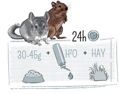 Witte Molen Puur Chinchilla Degu Alleinfutter