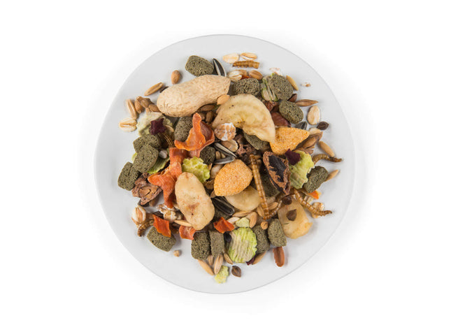 Witte Molen Puur Ratte Alleinfutter - Hochwertiges Rattenfutter mit natürlichen Zutaten