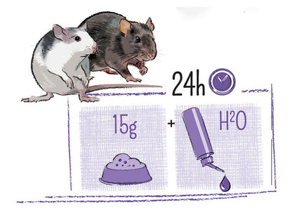 Witte Molen Puur Ratte Alleinfutter - Hochwertiges Rattenfutter mit natürlichen Zutaten