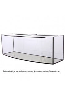 Diversa - Aquarium gebogen