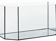 Diversa Aquarium Horizont - hochwertiges und vielseitiges Aquarium für Zuhause