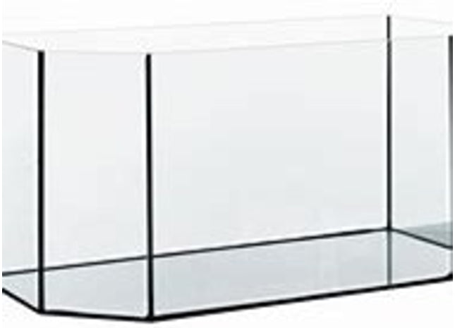 Diversa Aquarium Horizont - hochwertiges und vielseitiges Aquarium für Zuhause