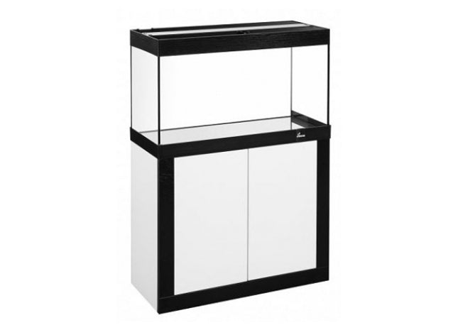 Modernes Aquarium-Set in Weiss und Schwarz von Diversa