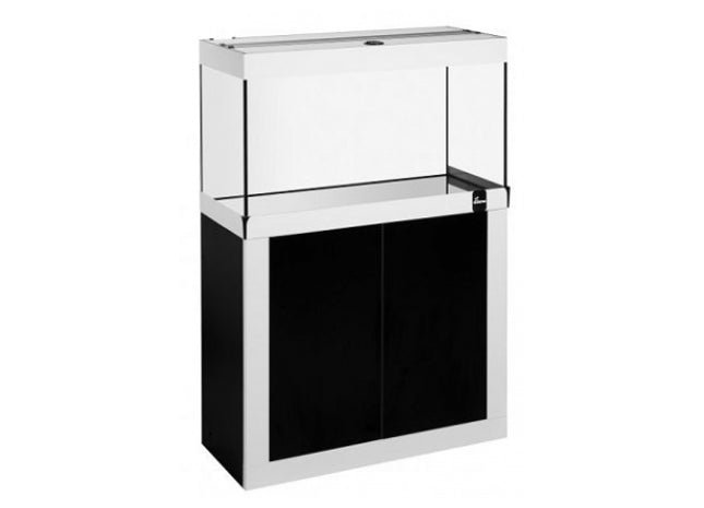 Schwarzes und weisses Aquarium-Set mit feinen Linienmuster