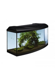Aquarium-Set in elegantem Schwarz mit gebogener Form für den perfekten Start