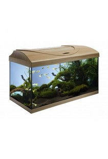 Modernes Aquarium-Set in gerader Buchenoptik für den perfekten Start