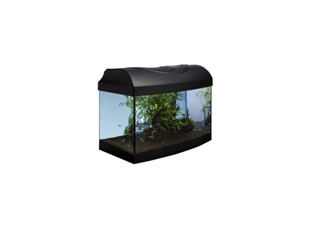 Aquarium-Set in elegantem Schwarz mit gebogener Form für den perfekten Start