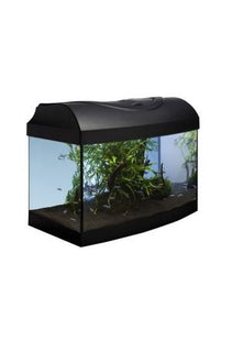Aquarium-Set in elegantem Schwarz mit gebogener Form für den perfekten Start