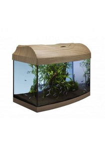 Modernes Aquarium-Set in gerader Buchenoptik für den perfekten Start