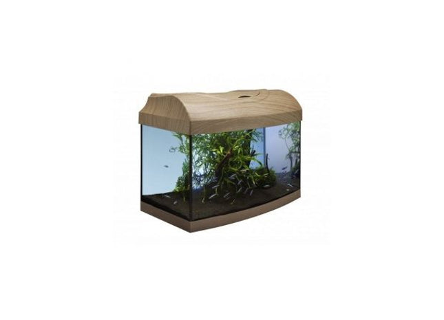 Modernes Aquarium-Set in gerader Buchenoptik für den perfekten Start