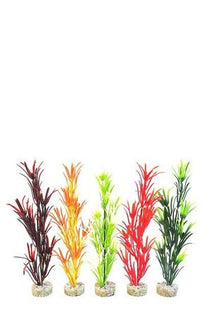 Sydeco Seegras Baby Dekoration 16 cm