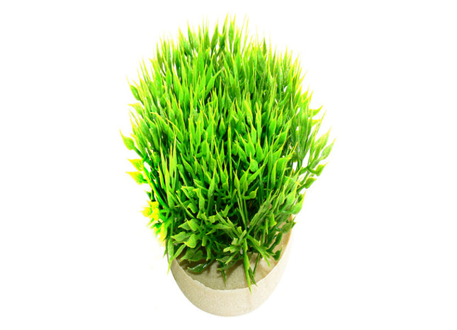 Sydeco Green Moss 7 cm - Dekoratives Moos für Aquarien und Terrarien