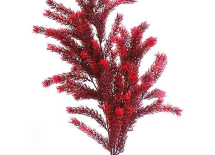 Sydeco - Sea Pearl, 35 cm Dekoration für das Aquarium