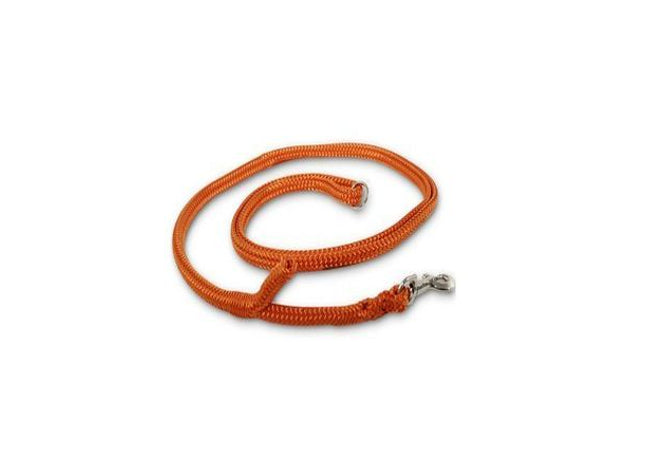 Neon-orange Dino-Hundeleine mit Easy-Locking-System, strapazierfähig und sicher