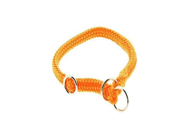 Halsband für Dinosaurier-Liebhaber in leuchtendem Neon-Orange