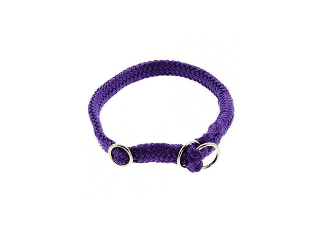 Lila Dinosaurier-Halsband für Haustiere