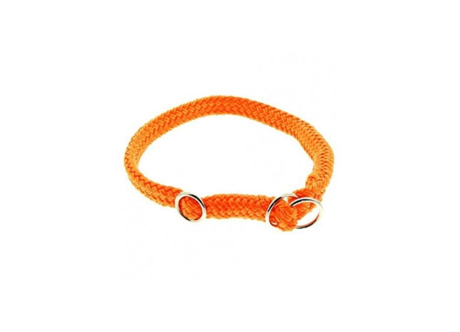 Neonorangenes Dinosaurier-Halsband für deinen stylischen Vierbeiner