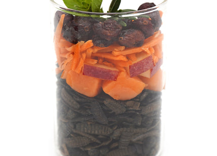 Bellfor Landgut-Menü hypoallergen mit Insekten - hochwertiges Hundefutter für empfindliche Hunde