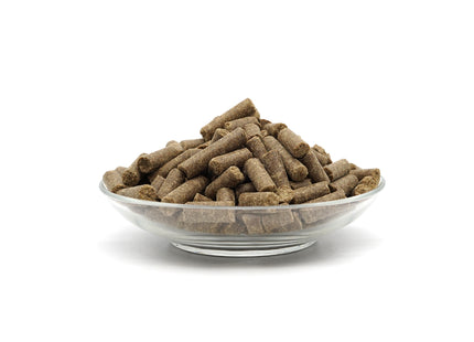 Bellfor Wildsee-Schmaus getreidefrei mit frischer Ente 10 kg - hochwertiges Hundefutter für eine ausgewogene Ernährung