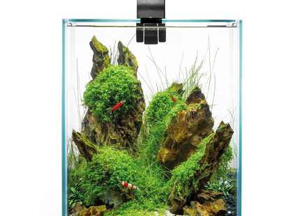 Aquael Shrimp Set DN 20 in elegantem Schwarz - perfekt für Garnelenliebhaber!