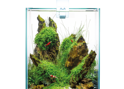 Aquael Shrimp Set DN 20 in Weiss - perfekt für Garnelenliebhaber!