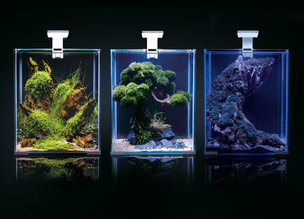 Aquael Shrimp Set in Schwarz - Tag und Nacht Beleuchtung