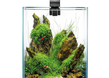 Aquael Shrimp Set in Schwarz - Tag und Nacht Beleuchtung