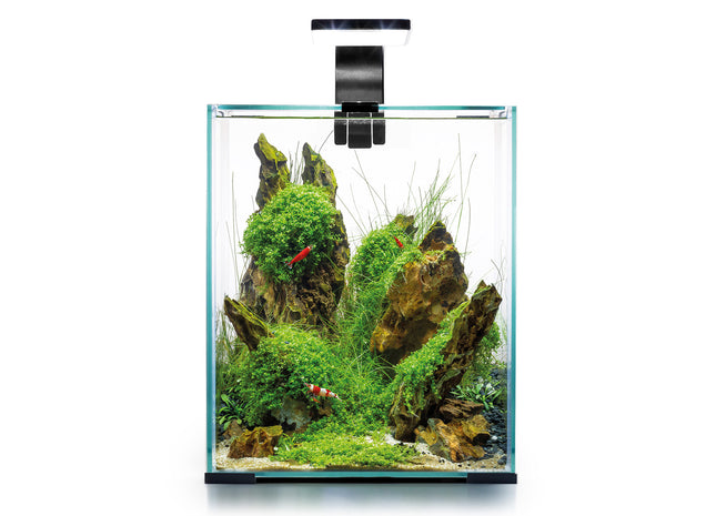 Aquael Shrimp Set in Schwarz - Tag und Nacht Beleuchtung