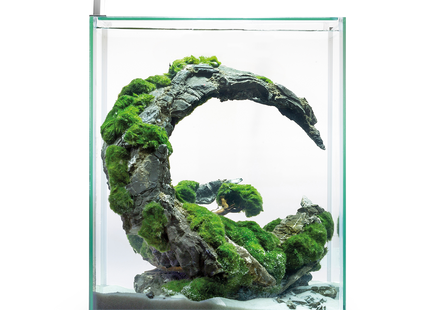 Aquael Shrimp Set in Weiss, Tag-Nacht-Beleuchtung