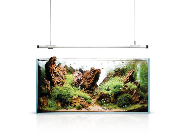 Aquael Leddy Slim Hanger - Innovative Aquariumbeleuchtung mit schlankem Design und Aufhängungssystem