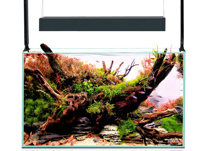 Aquael Ultrascape Forest Set - Dekoratives Aquarienpflanzen-Set für eine natürliche Unterwasserlandschaft