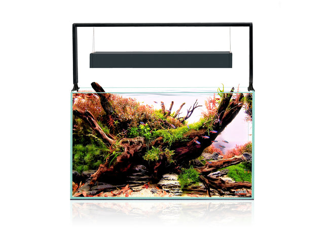 Aquael Ultrascape Forest Set - Dekoratives Aquarienpflanzen-Set für eine natürliche Unterwasserlandschaft