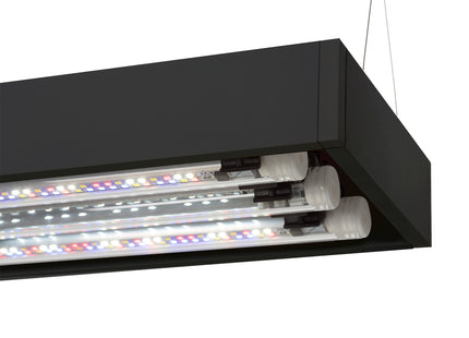 Aquael Ultrascape Forest Set - Dekoratives Aquarienpflanzen-Set für eine natürliche Unterwasserlandschaft