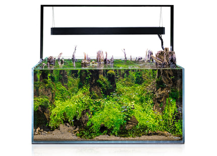 Aquael Ultrascape Forest Set - Dekoratives Aquarienpflanzen-Set für eine natürliche Unterwasserlandschaft
