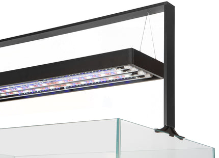 Aquael Ultrascape Forest Set - Dekoratives Aquarienpflanzen-Set für eine natürliche Unterwasserlandschaft