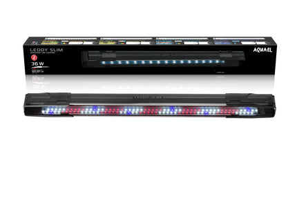 Aquael Leddy Slim Pflanze in elegantem Schwarz, 20 cm Höhe