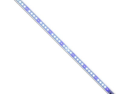 Aquael - Leddy Tube 14 W Sunny Day & Night 2.0 - Hochwertige LED-Beleuchtung für Aquarien mit Tag- und Nachtmodus