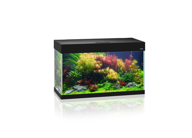 Aquael Aquarium Set Opti Set Schwarz 20 - Perfektes Zuhause für Ihre Fische