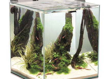 Aquael Fish & Shrimp Set Duo 35 in Weiss - Perfektes Zuhause für deine Aquarienbewohner