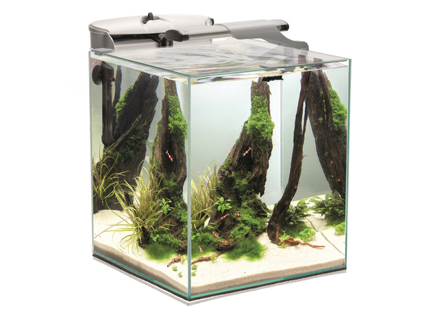 Aquael Fish & Shrimp Set Duo 35 in Weiss - Perfektes Zuhause für deine Aquarienbewohner