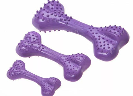 Aquael Comfy Toy Dental Bone in Mint-Lila für gesunde Zähne und starkes Kauvergnügen