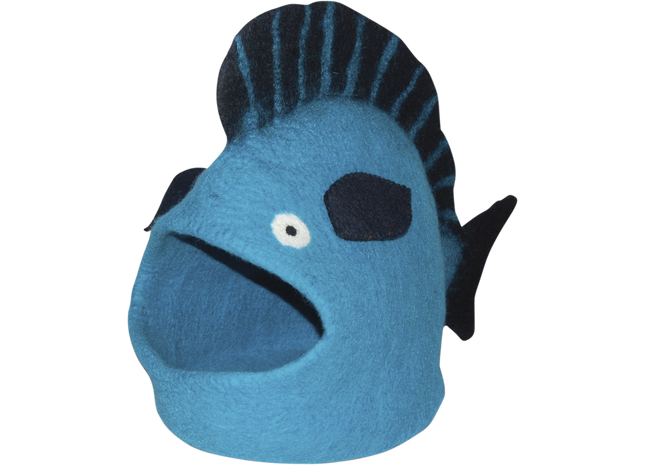 Türkisfarbener Fisch in einer Höhle