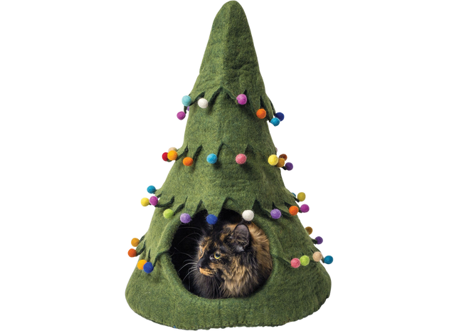 Grüner Weihnachtsbaum in Dharma-Karma-DDKC-Höhle