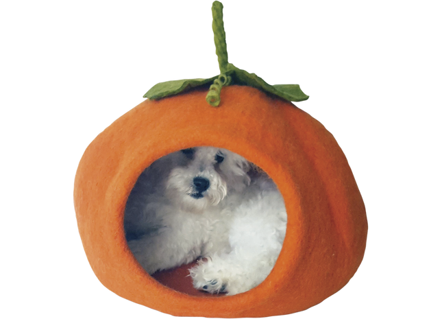 Handgefertigter Kürbis-Orangen-Dekor für gemütliche Herbstabende