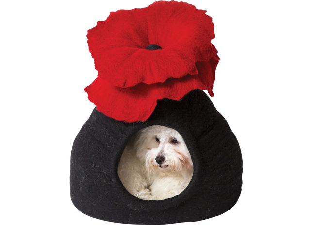 Schwarzes Bouquet für eine entspannende Höhlenatmosphäre